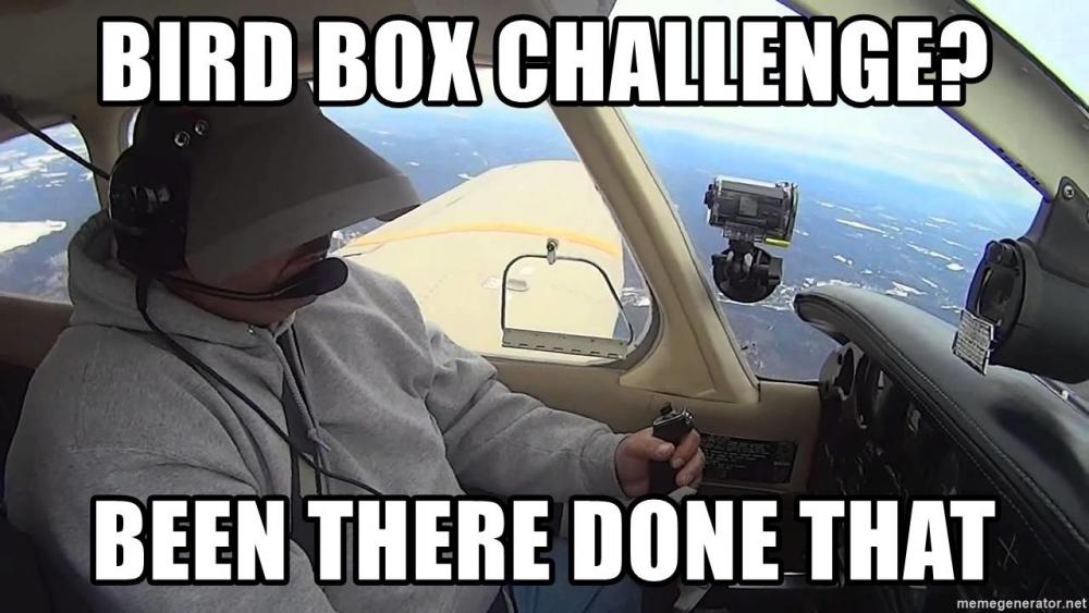 bird-box-challenge-been-there-done-that.thumb.jpg.d6e01ac629cb67ab3d8bfb11333714b5.jpg