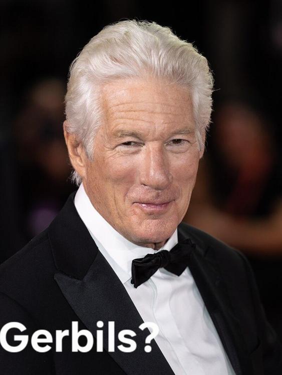 Richard_Gere-69101.thumb.jpg.f311804c23c2e151a0714c325d287887.jpg